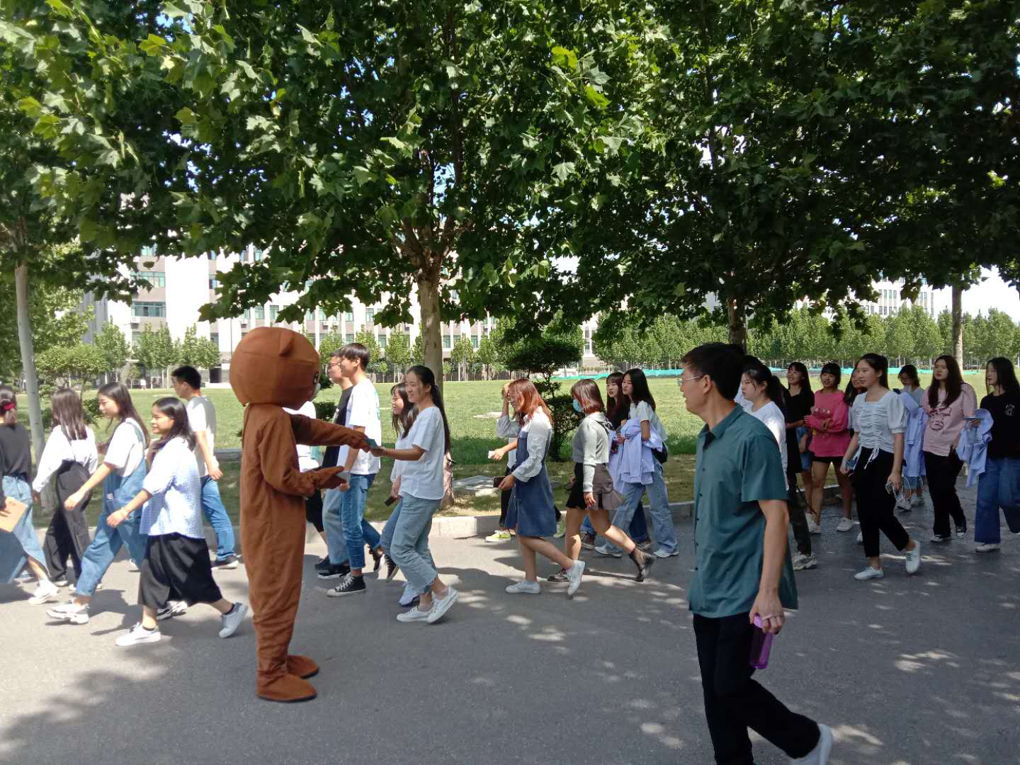 派发三折页